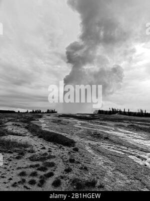 Vecchio geyser fedele eruttando in una nuvola di vapore e acqua calda sotto un cielo nuvoloso. Foto Stock