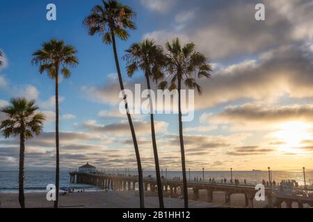 Palme a Manhattan Beach al tramonto, Los Angeles, California. Viaggi di moda e concetto di spiaggia tropicale. Foto Stock