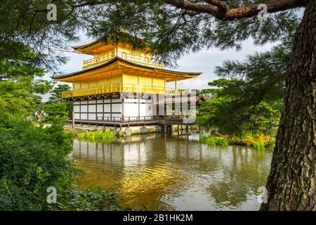 Kinkakuji o Tempio del Padiglione dorato visto dagli alberi del giardino giapponese, Kyoto, Giappone Foto Stock