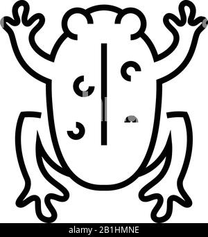 Icona della linea di esperimento Frog, simbolo concettuale, illustrazione del vettore di contorno, simbolo lineare. Illustrazione Vettoriale