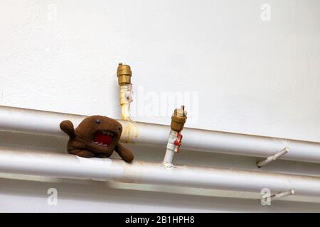 Due tubi dell'acqua sporca con due rubinetti posizionati orizzontalmente su una parete bianca tra cui si trova un giocattolo morbido marrone. Foto Stock