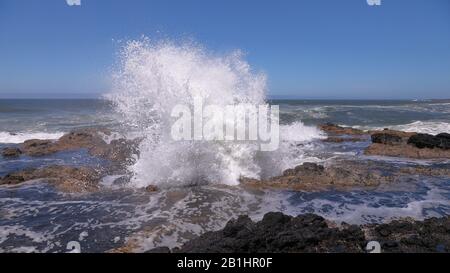 L'acqua eruttava dal pozzo di Thor - una fioritura naturale Oregon costa vicino a Yachats Foto Stock