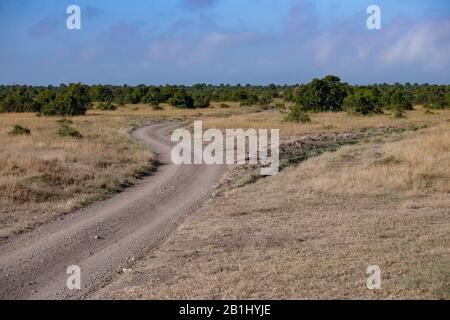 Tortuosa strada polverosa utilizzata dai veicoli da safari nel Masai Mara, Kenya Foto Stock