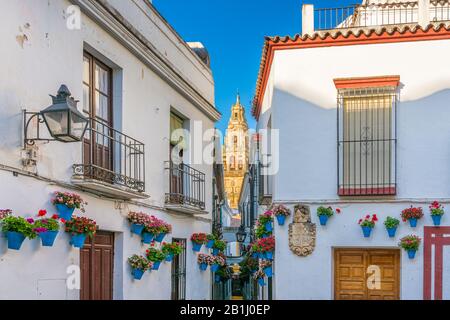 New Scenic 5 posti in vista della pittoresca Cordoba quartiere ebraico con il campanile della cattedrale della moschea. Andalusia, Spagna. Foto Stock