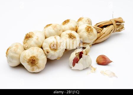 Passera d'aglio, filo di bulbi d'aglio con baccelli in primo piano Foto Stock