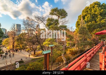 Ueno, giappone - 02 gennaio 2020: Fascia di pino giapponese con burlap che lo lega in un cerchio che evoca la luna nella sala Kiyomizu Kannon di Ueno Park, Foto Stock