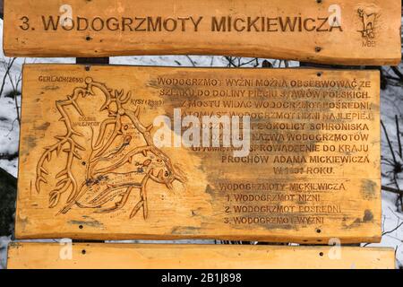 Zakopane, Polonia, 31 Jan 2020. Cascate in legno educativo di Mickiewicz nei Monti Tatra, Zakopane. Credito: Waldemar Sikora Foto Stock