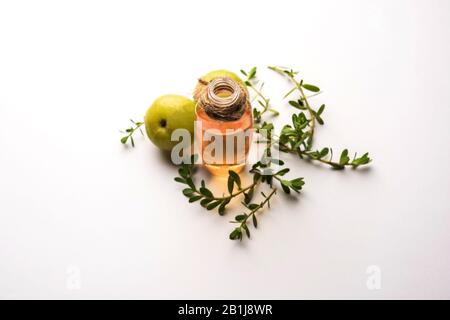 Olio Ayurvedico per capelli Brahmi Amla con foglie grezze di avla e Bramhi Foto Stock