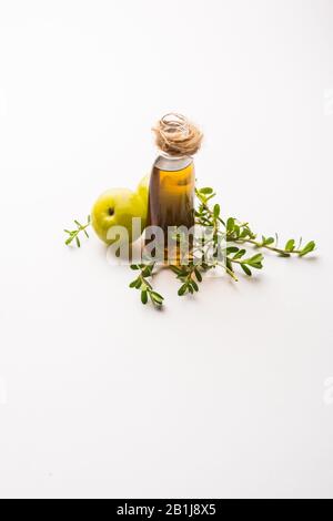 Olio Ayurvedico per capelli Brahmi Amla con foglie grezze di avla e Bramhi Foto Stock