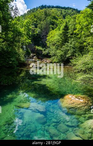 Paesaggio nella Gola di Vintgar (Soteska Vintgar) vicino alla città di Bled in Slovenia, con acque cristalline del fiume Radovna. Foto Stock