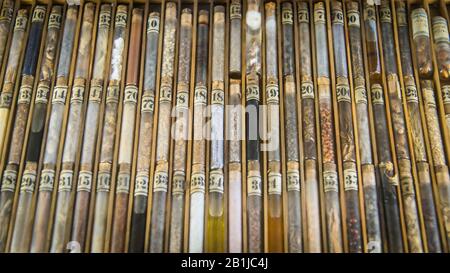 Ingredienti per pozione magica in provette di vetro Foto Stock