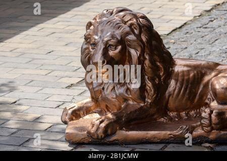 Statua di un leone su una strada della città. Kiev, Ucraina Foto Stock
