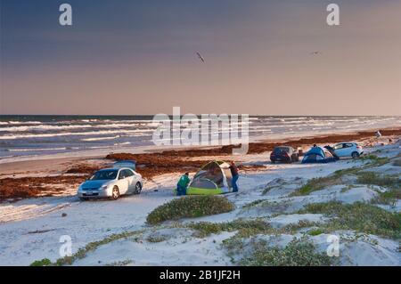 Campeggio sulla spiaggia, coperto di alghe, Golfo del Messico, Mustang Island state Park, Gulf Coast, Texas, Stati Uniti Foto Stock