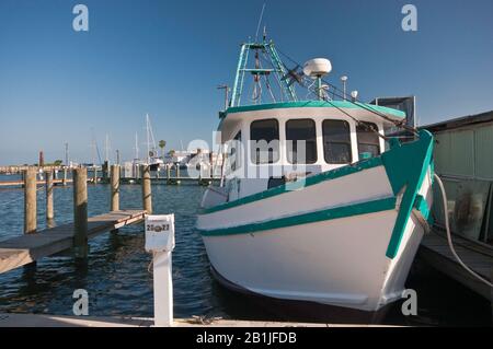 Gamberetti al porto, Aransas Bay, Golfo del Messico, Rockport, Gulf Coast, Texas, Stati Uniti Foto Stock