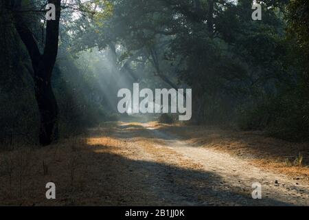 Dirtroad in Bharatpur, India, Bharatpur Foto Stock