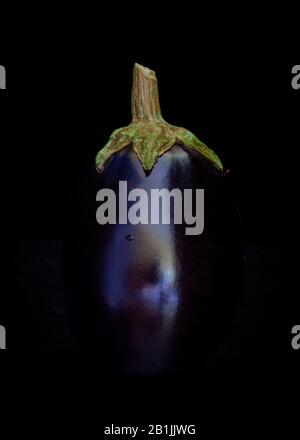 Melanzane appena selezionate su sfondo nero. Foto Stock