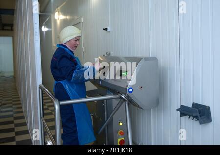 Presso la sala di ispezione sanitaria. Donna che disinfetta le mani prima di entrare nel locale di macellazione. Aprile 22, 2019. Kiev, Ucraina Foto Stock