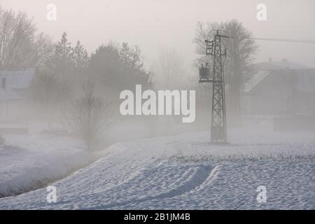 Elettricità pilone ai margini del villaggio in inverno, nevoso nebbioso paesaggio rurale alla luce del mattino, concetto per sognante, mistico e agricolo Foto Stock