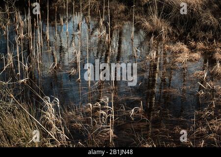 Torba in rilievo CORS Caron Foto Stock