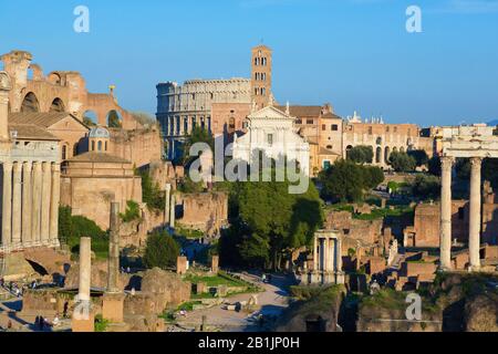 Foro Romano a Roma, Italia Foto Stock