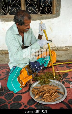 Sri Lanka, provincia di Uva, Dombagahawela, Madara, azienda agricola che peeling cannella ramo Foto Stock