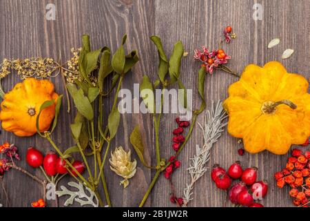Halloween autunno concetto. Zucca, vischio, sambuco, papavero, luppolo, rosa canina, schisandra. Erbe secche e frutti di bosco freschi su fondo ruvido di legno, a. Foto Stock