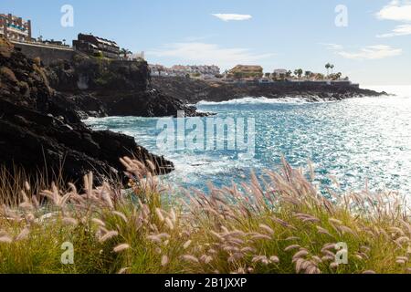 Camminando lungo la costa vicino a Puerto de Santiago, Tenerife, Isole Canarie, Spagna Foto Stock