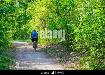 Uomo ciclista in protezione, marcia a cavallo e-bike nel parco vicolo in estate giorno tra gli alberi. Vista posteriore. Foto Stock
