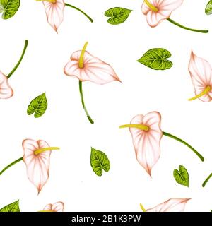 Motivo senza cuciture con anturio beige disegnato a mano con foglie verdi su sfondo bianco. Elemento decorativo per tessuto e carta da imballaggio. Foto Stock