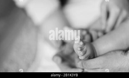 Bambini I piedi nelle mani dei genitori Foto Stock