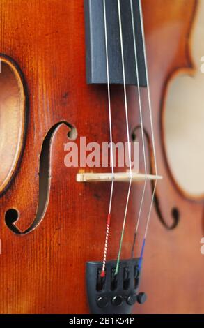 Dettaglio di uno strumento a violine primo piano verticale Foto Stock