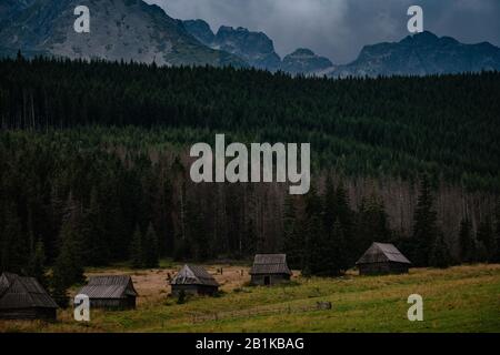 Percorso attraverso la Valle di Gasienicowa nelle montagne di Tatra, Polonia. Maltempo autunno su belle case di legno nei prati ai piedi delle colline. Foto Stock