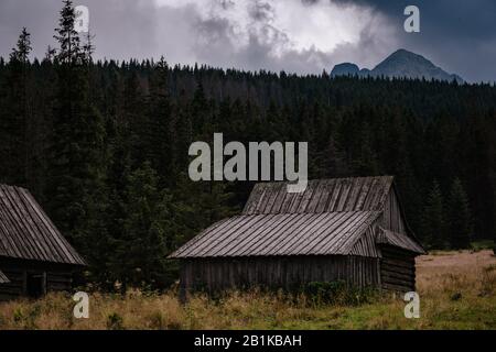 Percorso attraverso la Valle di Gasienicowa nelle montagne di Tatra, Polonia. Maltempo autunno su belle case di legno nei prati ai piedi delle colline. Foto Stock