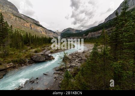 Valley nel parco provinciale di Mount Robson, Rocky Mountains, Nord America, Canada, British Colombia, agosto 2015 Foto Stock