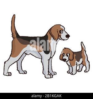 Carino cartone animato foxhound caccia cane e cucciolo vettore clipart. Razza di canile di canile di pedigree per gli amanti del cane. Doggy rosso purebed per l'illustrazione del salotto dell'animale domestico Illustrazione Vettoriale