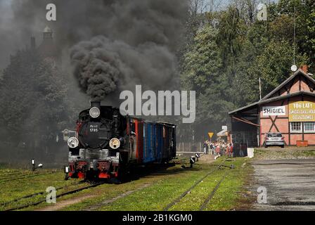 Bollini a vapore, treni in Polonia Foto Stock