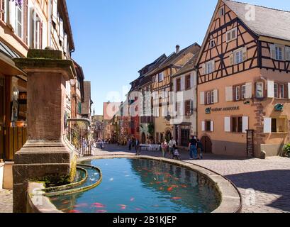 Fontana con pesci rossi, città vecchia, case a graticcio in Rue de General de Gaule, Riquewihr, Alsazia, Francia Foto Stock