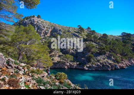 Escursioni in montagna a Maiorca, sentiero per Cala en Gossalba, Cala en Gossalba, penisola di Formentor, Maiorca, Isole Baleari, Spagna Foto Stock