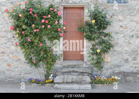 porta in legno su gradini in pietra con piante di rose e primule Foto Stock