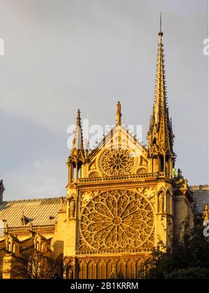 La finestra rosa meridionale di Notre Dame, Parigi, Francia, nel tardo pomeriggio visto dall'esterno della Cattedrale Foto Stock