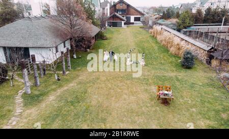 Vista dal drone degli sposi che corrono sul prato accanto al cane sullo sfondo dell'arco di nozze e del tavolo. Foto Stock