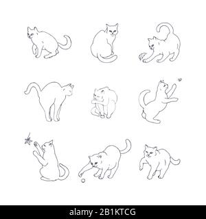 Set di nove gatti giocosi disegnati a mano. Illustrazione Vettoriale