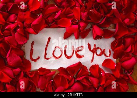 Il testo che ti amo circondato con petali di rosa rossa, concetto romantico vista dall'alto valentines sfondo Foto Stock