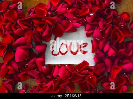 Il testo che ti amo circondato con petali di rosa rossa, concetto romantico vista dall'alto valentines sfondo Foto Stock