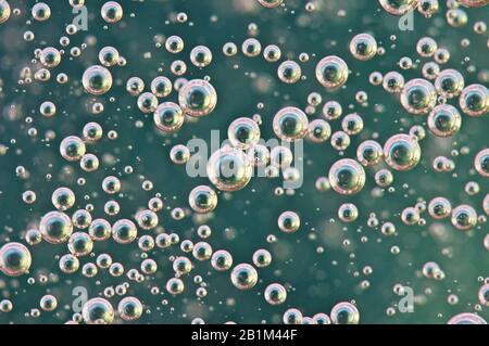 Bolle Di Ossigeno Piccole E Grandi Nel Liquido Skobeloff Foto Stock