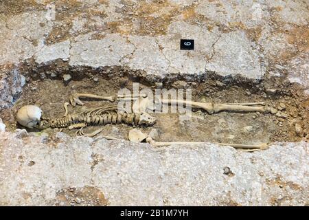 Resti umani / antico scheletro in una tomba poco profonda scoperto a Fishbourne Roman Palace. Fishbourne, Chichester Nel West Sussex. REGNO UNITO. (114) Foto Stock