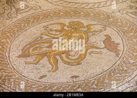 Cupido e un mosaico / mosaici Delfino in condizioni favolose, in una villa romana. Palazzo Romano Di Fishbourne. Fishbourne, Chichester, West Sussex. INGHILTERRA (114) Foto Stock