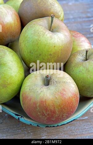 Le mele Ashmead's kernel Heritage Foto Stock