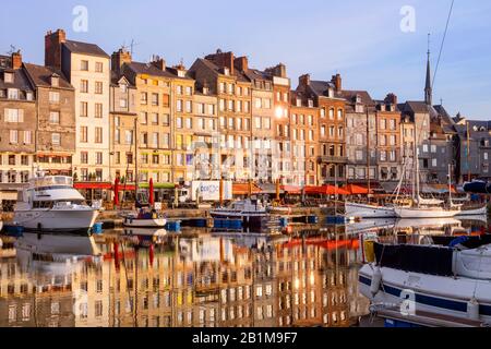 Honfleur port / porto nella calda luce del mattino, Honfleur, Calvados, Normandia, Francia, Europa Foto Stock