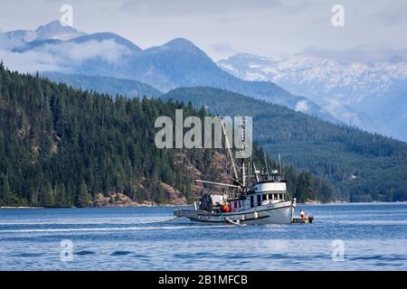 Equipaggio a bordo di un peschereccio e la sua tender ha fissato una rete di senna durante una pesca commerciale di salmone nello stretto di Johnstone, BC (Coast Range in background). Foto Stock